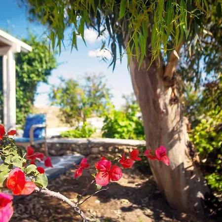 Tropicalia * Platys Gialos (Mykonos)